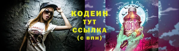 амф Касимов