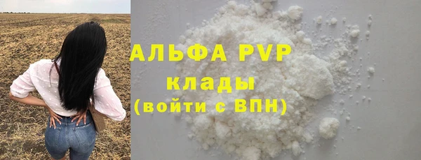 амф Касимов