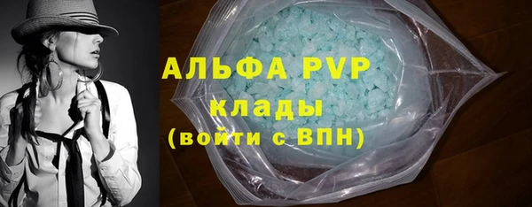 амф Касимов
