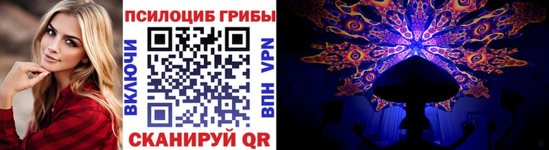 Купить закладки  Дальнегорск  Псилоцибиновые грибы ЛСД 